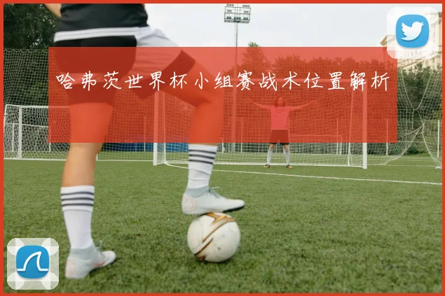 哈弗茨世界杯小组赛战术位置解析