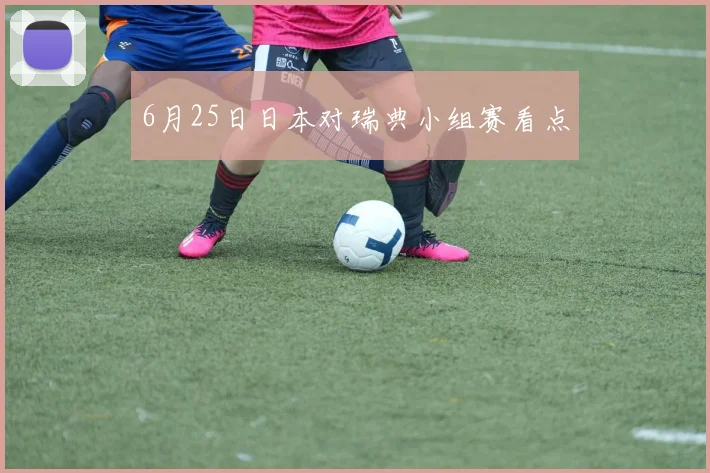 6月25日日本对瑞典小组赛看点