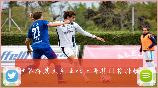 世界杯澳大利亚vs土耳其门将扑救