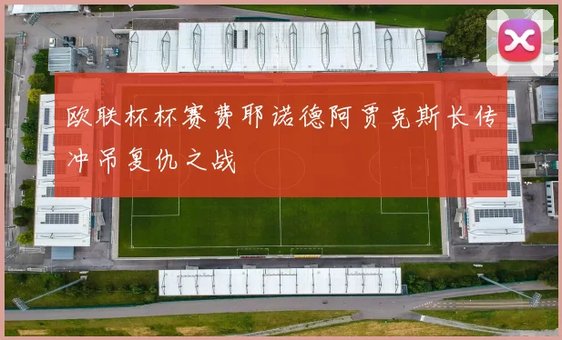 欧联杯杯赛费耶诺德阿贾克斯长传冲吊复仇之战